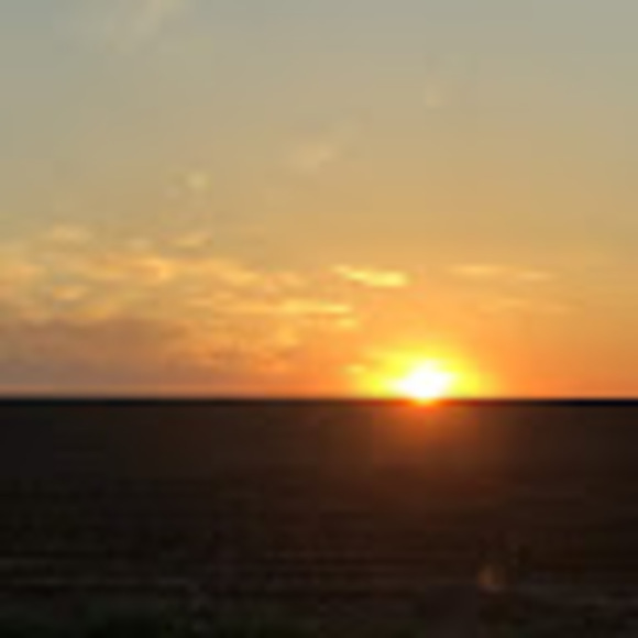 ross_tiner